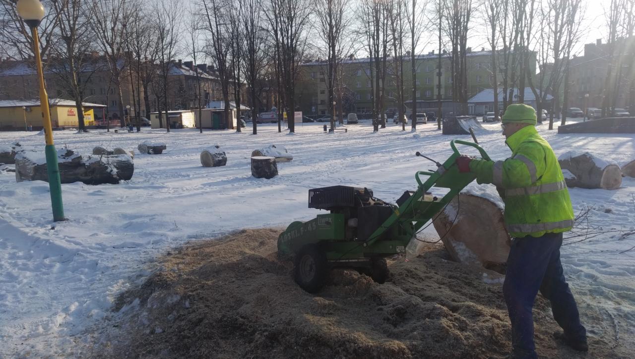 Pracownik w odblaskowej kurtce obsługuje frezarkę do pni drzew na ośnieżonym placu miejskim, w tle ścięte pnie i budynki.