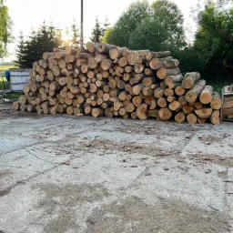 tartak Wysoka Strzyżowska