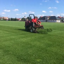 Profesjonalne koszenie...