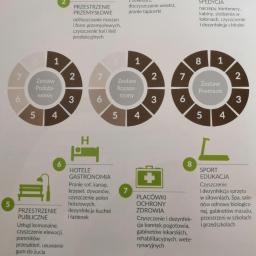 Mobilna Myjnia Parowa - Infografika prezentująca zakres usług czyszczenia i dezynfekcji dla różnych sektorów: motoryzacji, przemysłu, transportu publicznego, hoteli, placówek zdrowia, sportu i edukacji, z podziałem...