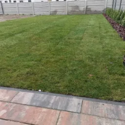 Świeżo założony trawnik z obrzeżem z kostki brukowej i rzędem tuj wysypanych korą, ogrodzenie panelowe w tle.