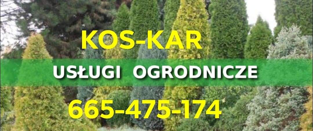 Reklama firmy ogrodniczej KOS-KAR na tle różnorodnych drzew i krzewów iglastych, z wyraźnie widocznym numerem telefonu.