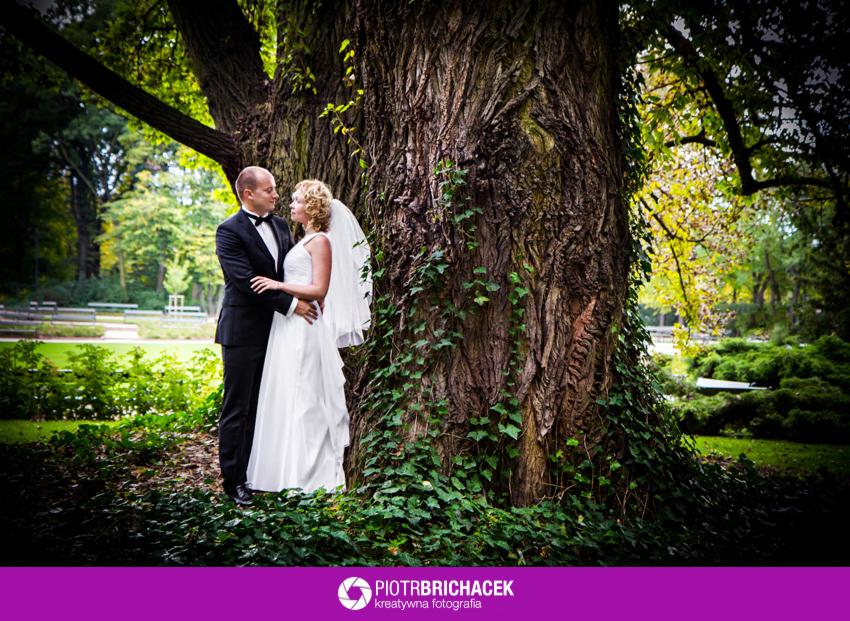 Para młoda obejmująca się pod starym, porośniętym bluszczem drzewem w parku, panna młoda w białej sukni i welonie, pan młody w czarnym garniturze z muchą.