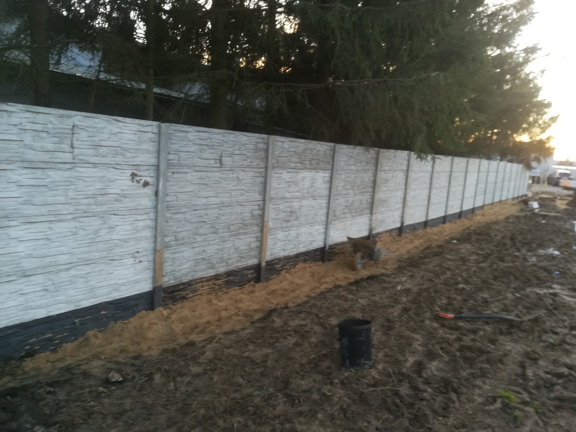 Długi, szary betonowy płot panelowy z widoczną izolacją przeciwwilgociową u podstawy, świeżo obsypany ziemią, z psem spacerującym wzdłuż niego i drzewami w tle.