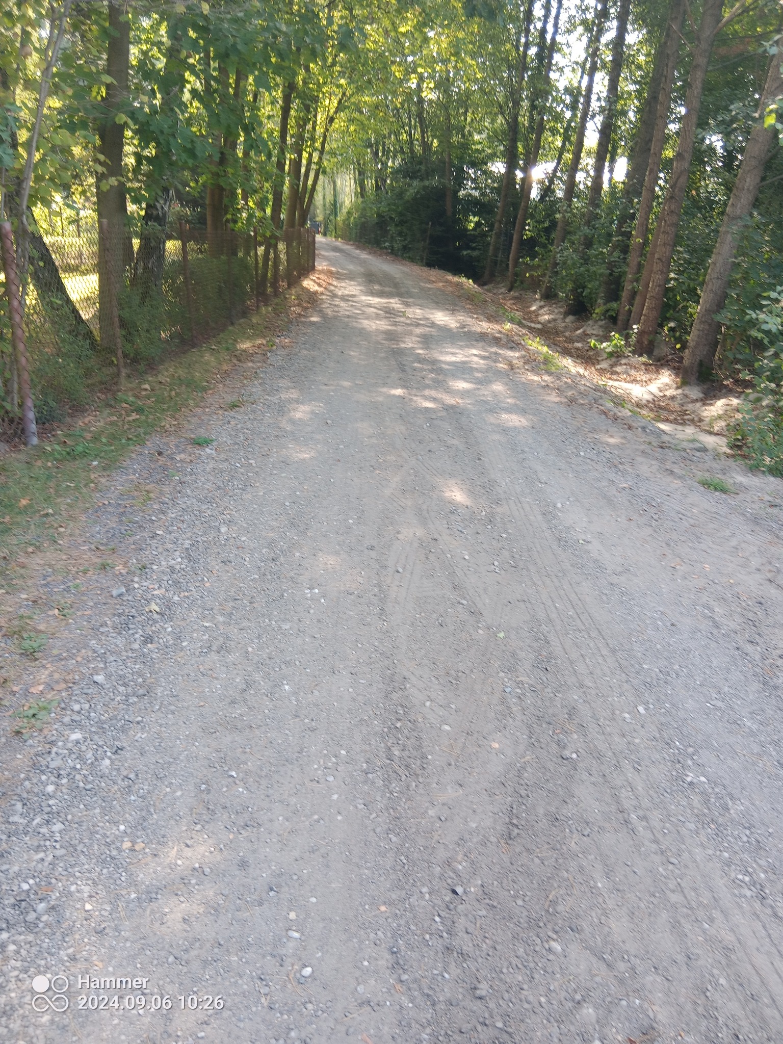 Utrwalona, szutrowa droga gruntowa, otoczona drzewami i siatką ogrodzeniową, z widocznymi śladami opon.