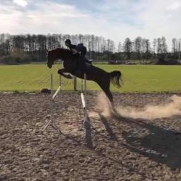 Stajnia Chełmińscy