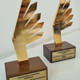 Euromax- laureat konkursu Orły Rachunkowości 2020-2021r.