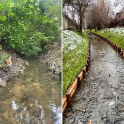 Porównanie koryta rzeki przed i po umocnieniu brzegów drewnianymi palisadami; po lewej stronie naturalny, zarośnięty brzeg, po prawej uporządkowany brzeg z trawnikiem i resztkami śniegu.