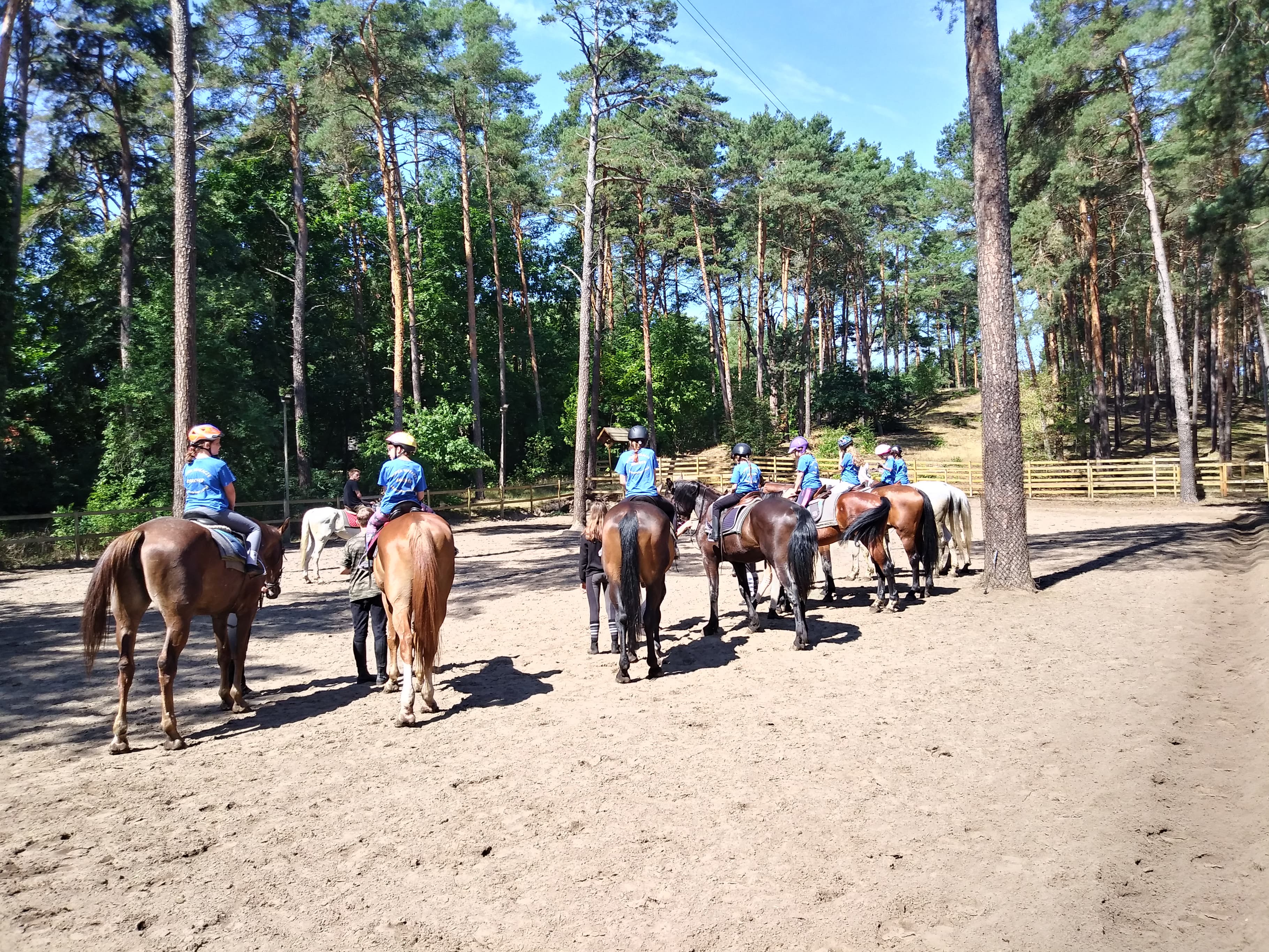 Grupa dzieci w niebieskich koszulkach i kaskach na koniach na piaszczystym terenie otoczonym lasem podczas słonecznego dnia.
