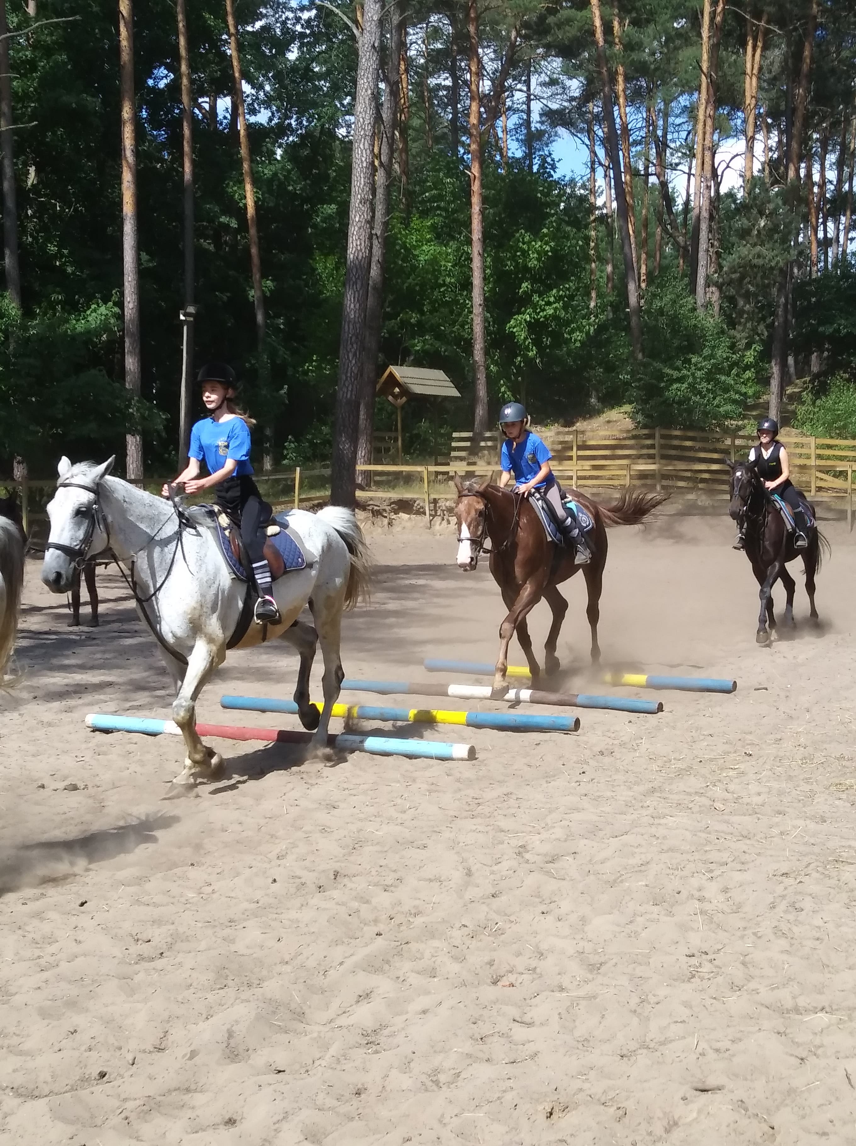 Trzy osoby na koniach pokonują przeszkody na piaszczystym terenie otoczonym lasem.