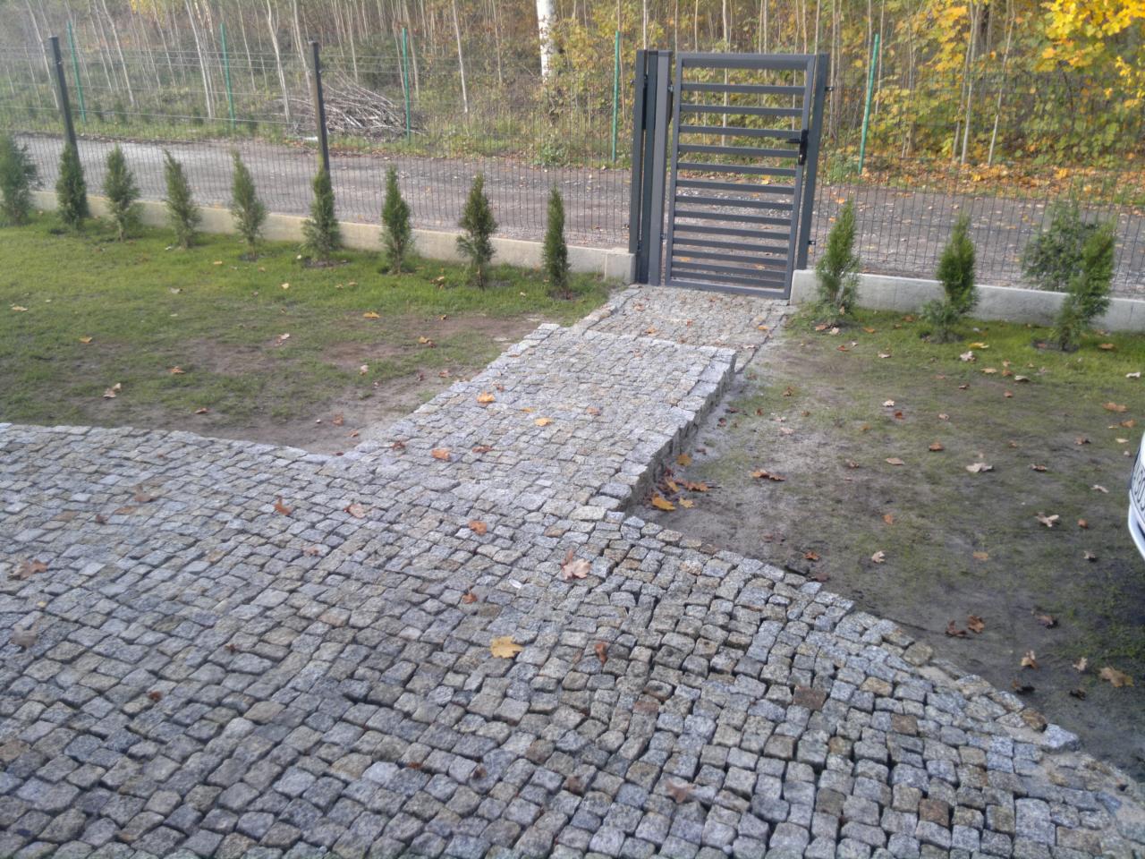 Ułożona kostka brukowa prowadząca do furtki ogrodowej z metalowymi przęsłami, małe tuje wzdłuż ogrodzenia, jesienne liście na trawniku.