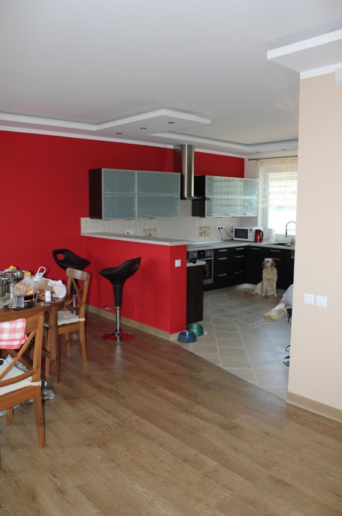 Częściowy widok odnowionej kuchni z czerwonymi ścianami, czarnymi szafkami i drewnianą podłogą, z psem leżącym w tle przy oknie.