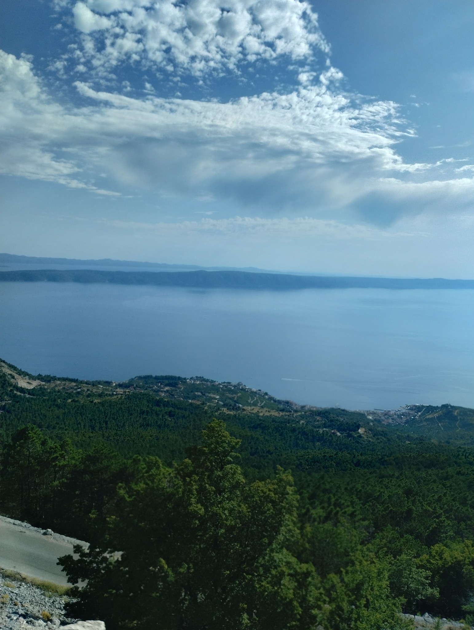 Panoramiczny widok na morze z góry, chorwackie wybrzeże, las, niebo z chmurami.
