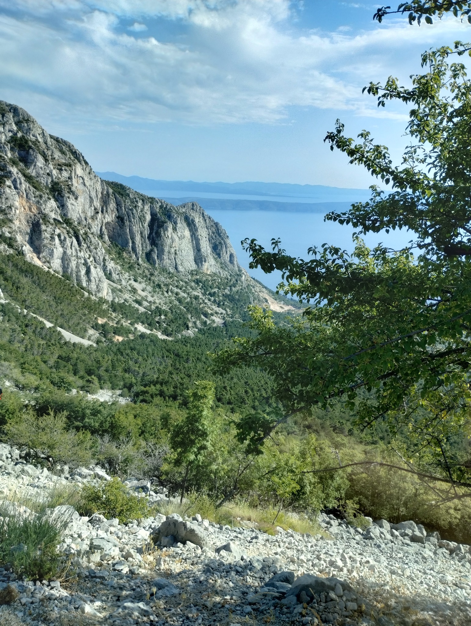 Widok z góry na skalisty zbocze porośnięte zielenią z widokiem na morze i odległe góry, częściowo zasłonięty przez gałęzie drzewa.