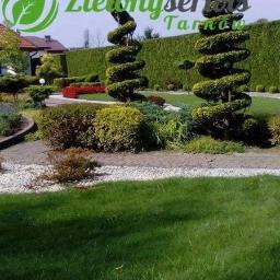 Pielęgnacja ogrodów Tarnów 4