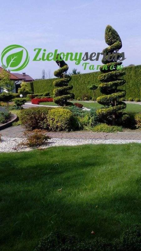 Ogród z dwoma spiralnie przyciętymi drzewami iglastymi, żywopłotem w tle, ścieżką z białego żwiru i logo firmy ogrodniczej w lewym górnym rogu.