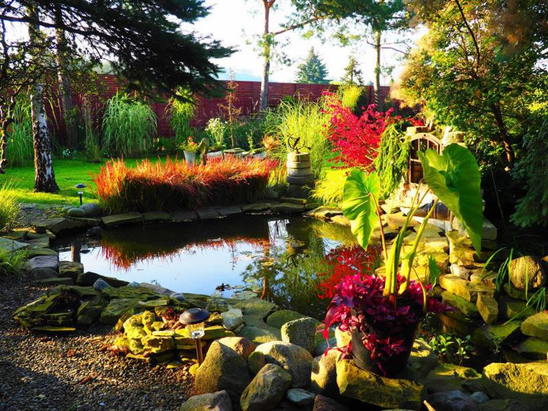 Oczko wodne otoczone kamieniami i roślinnością, w tle drewniany płot i drzewa, dekoracyjne oświetlenie punktowe.