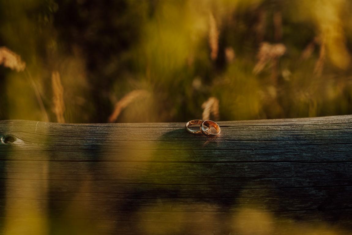 Dwa złote pierścionki ślubne leżące na szorstkiej, drewnianej belce z widocznym sękiem, na tle rozmytej zieleni i brązów trawy.