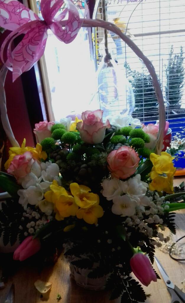 Kosz wiklinowy z kompozycją kwiatową: różowe róże, białe frezje, żółte kwiaty i zielone chryzantemy, ozdobiony różową kokardą, w tle okno z widokiem na zieleń, na stole nożyczki.