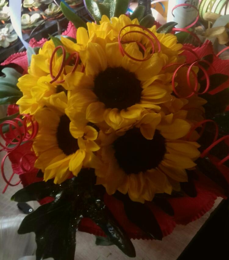 Bukiet słoneczników z czerwonymi spiralnymi dekoracjami i ciemnozielonymi liśćmi, widoczne krople wody na liściach.