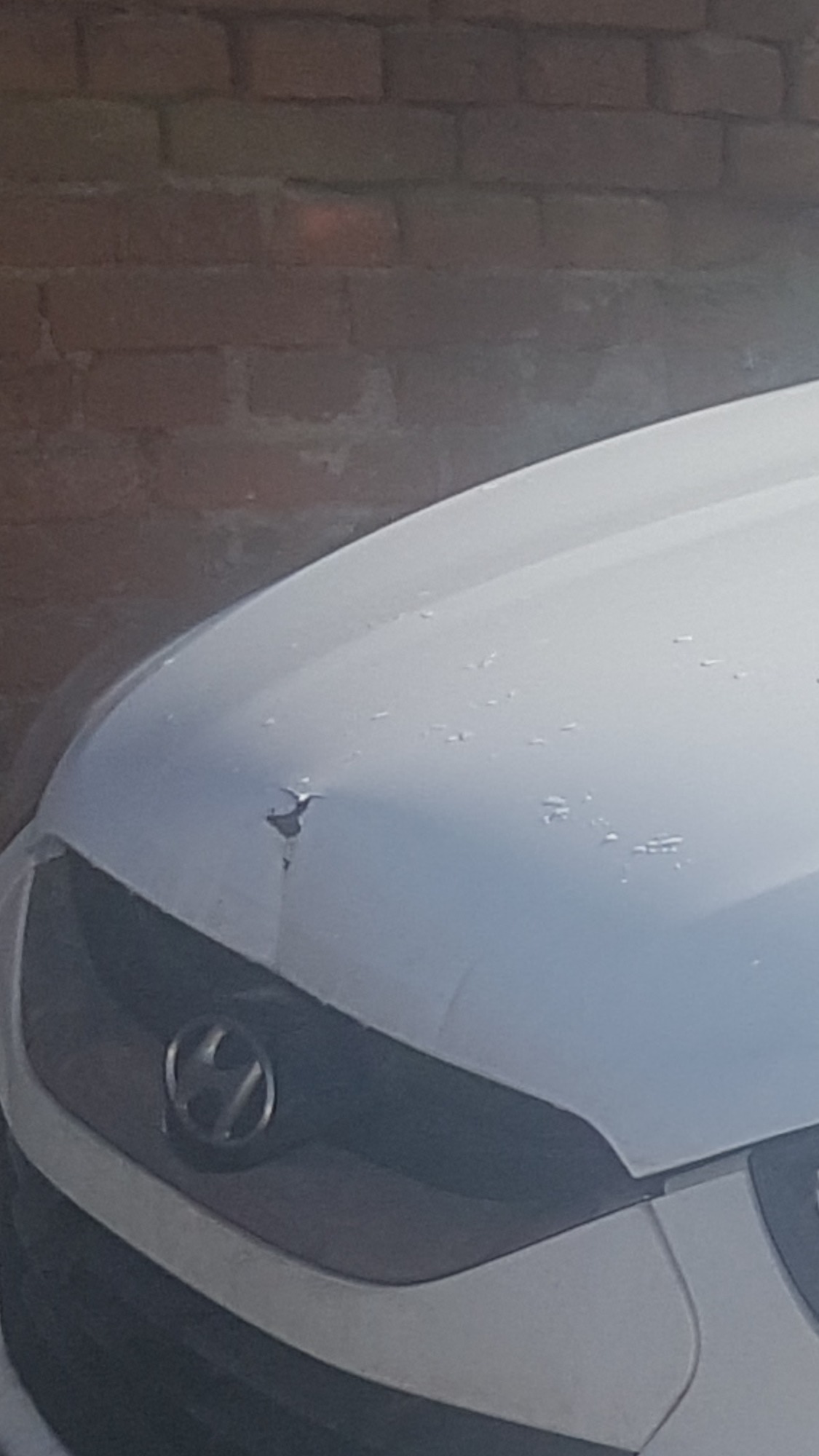 Uszkodzony lakier na masce białego samochodu Hyundai, widoczny odprysk i drobne rysy, tło stanowi ceglany mur.