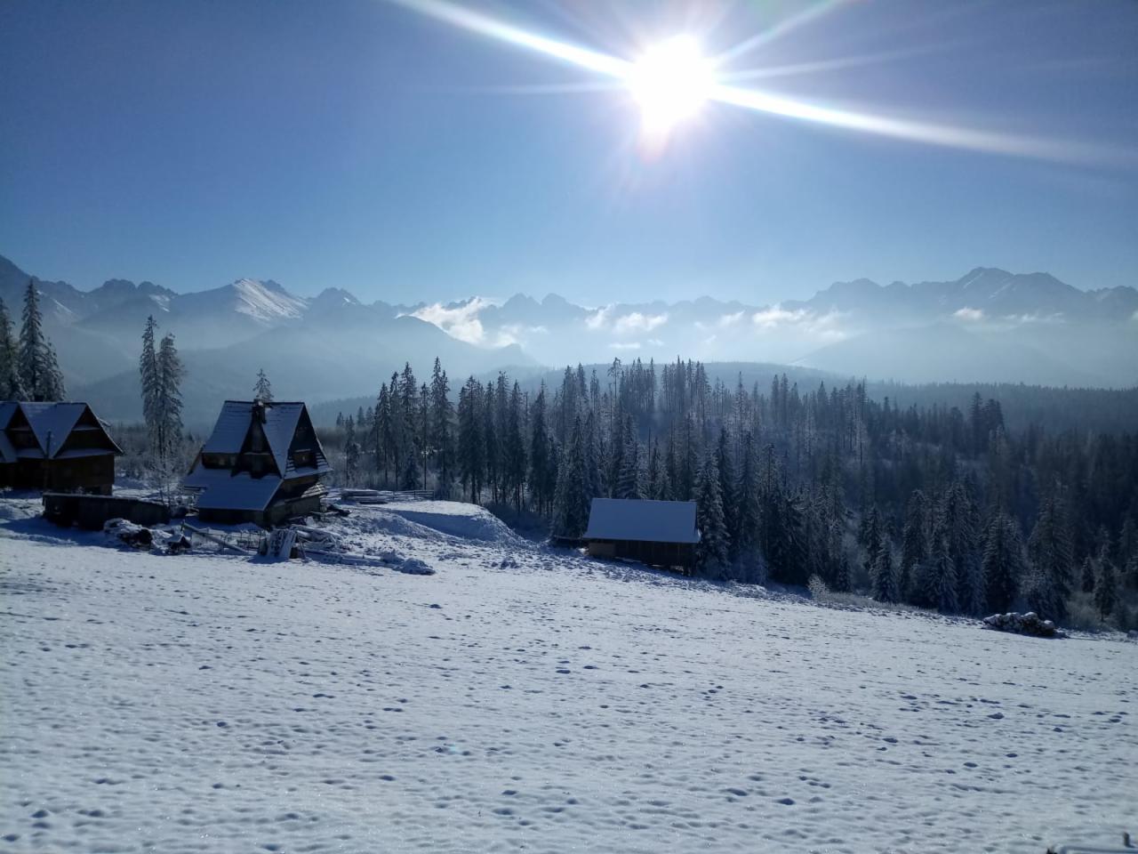 Zimowy krajobraz górski z drewnianymi domkami pokrytymi śniegiem, las iglasty w tle, jasne słońce na błękitnym niebie.