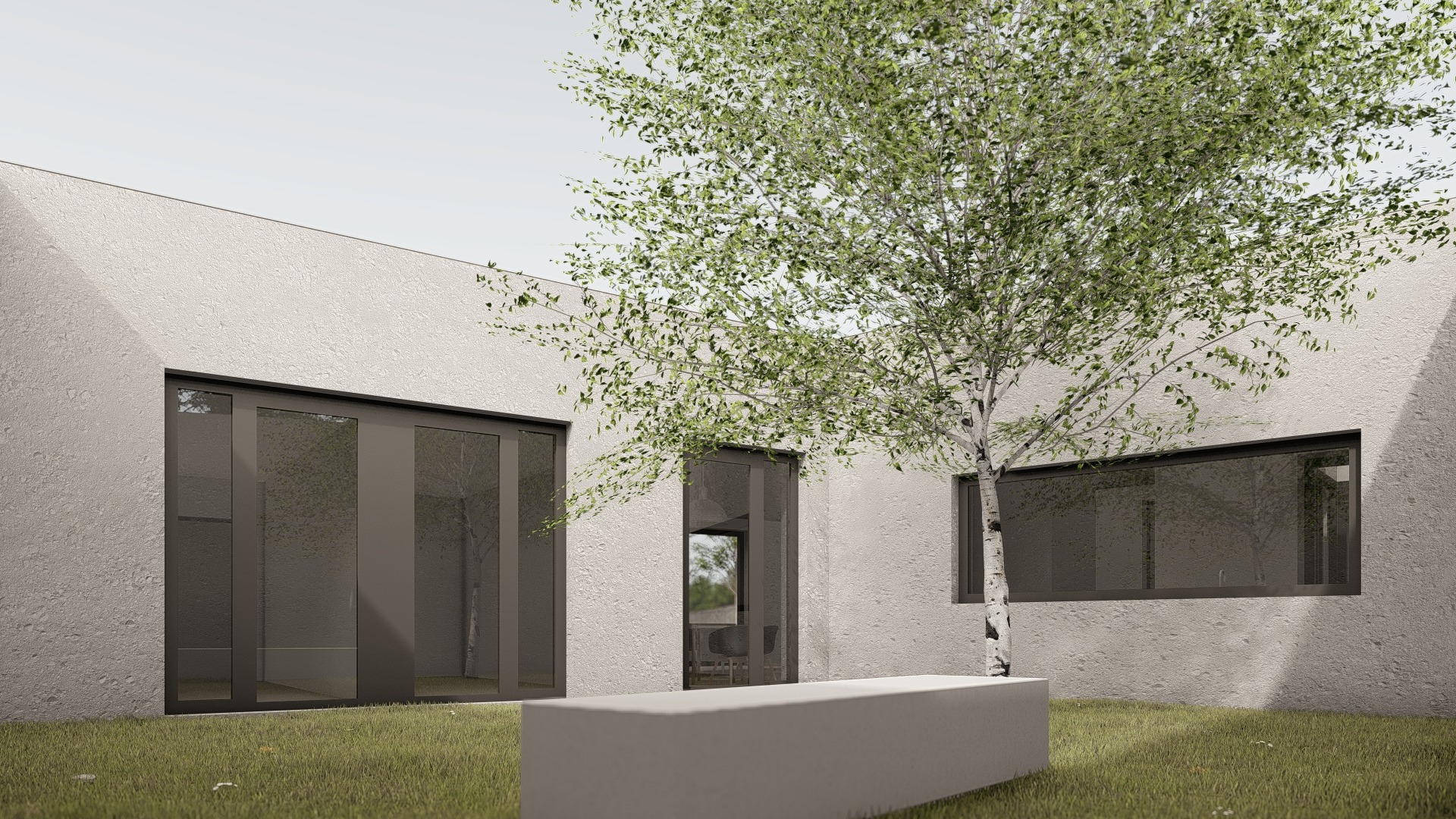 Minimalistyczny dom z dziedzińcem, na którym rośnie brzoza, z betonową ławką na trawniku.