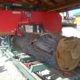 Praca trakiem taśmowym: obróbka kłody na tarcicę. Widoczny przekrój drewna i operator maszyny. Hala produkcyjna w tle.