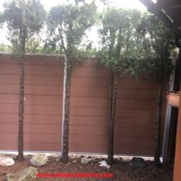 Realizacja Mysłowice model Privacy Fence kolor coffee