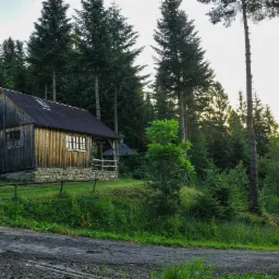 Drewniany domek letniskowy z kamienną podmurówką, otoczony zielonymi drzewami iglastymi i trawiastym terenem, widoczny z polnej drogi.
