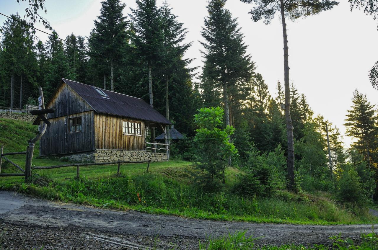 Drewniany domek letniskowy z kamienną podmurówką, otoczony zielonymi drzewami iglastymi i trawiastym terenem, widoczny z polnej drogi.