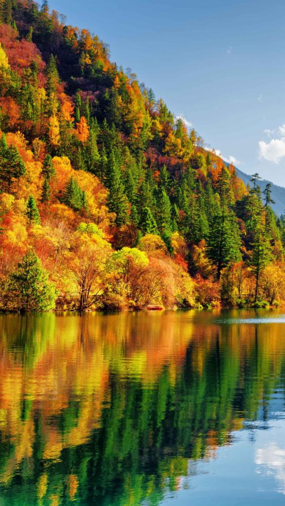 Jesienny krajobraz: zielone i żółte drzewa odbijają się w spokojnej tafli jeziora pod błękitnym niebem. Malowniczy widok lasu w barwach jesieni.