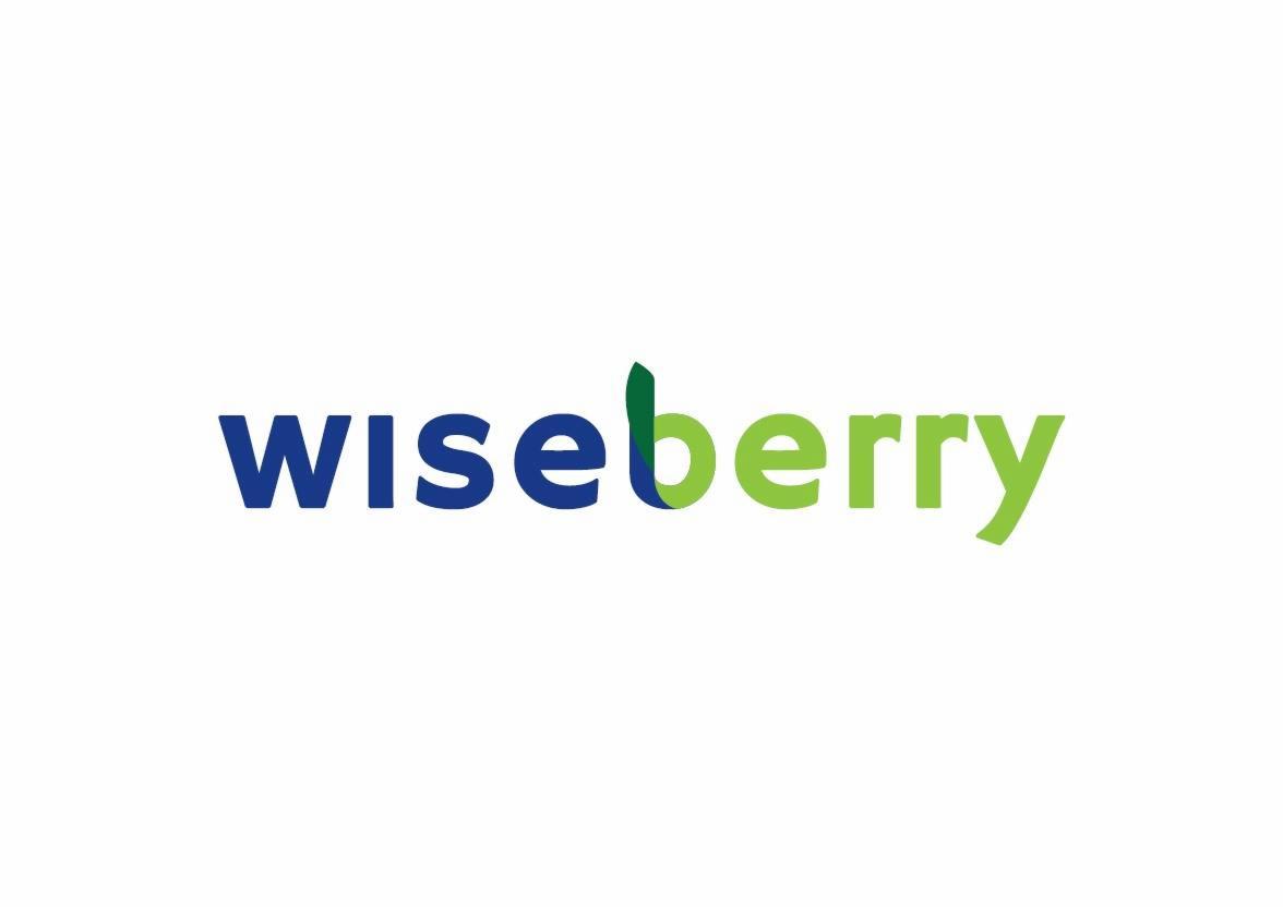 Logo 'wiseberry' z niebieskim 'wise' i zielonym 'berry', gdzie 'b' ma dodatkowy zielony element graficzny