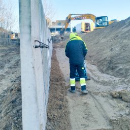 Rozbiórki budynków Buk 1