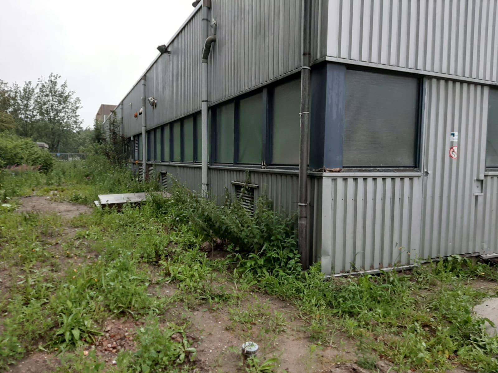 Metalowy budynek przemysłowy z rzędem okien, otoczony bujną, zaniedbaną roślinnością i ziemią, widok z zewnątrz, pochmurny dzień.