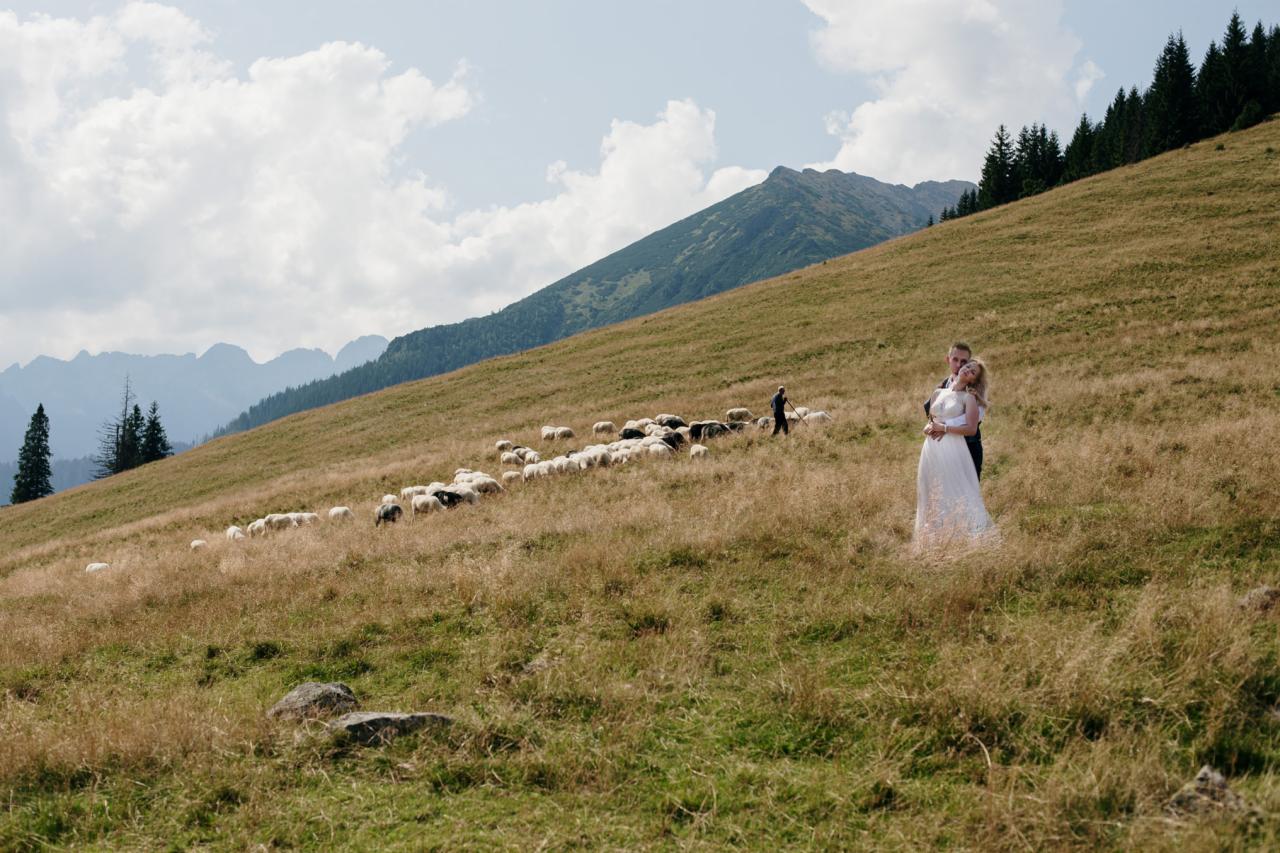 Para młoda w objęciach na tle górskiego krajobrazu z pasącymi się owcami i pasterzem w oddali.