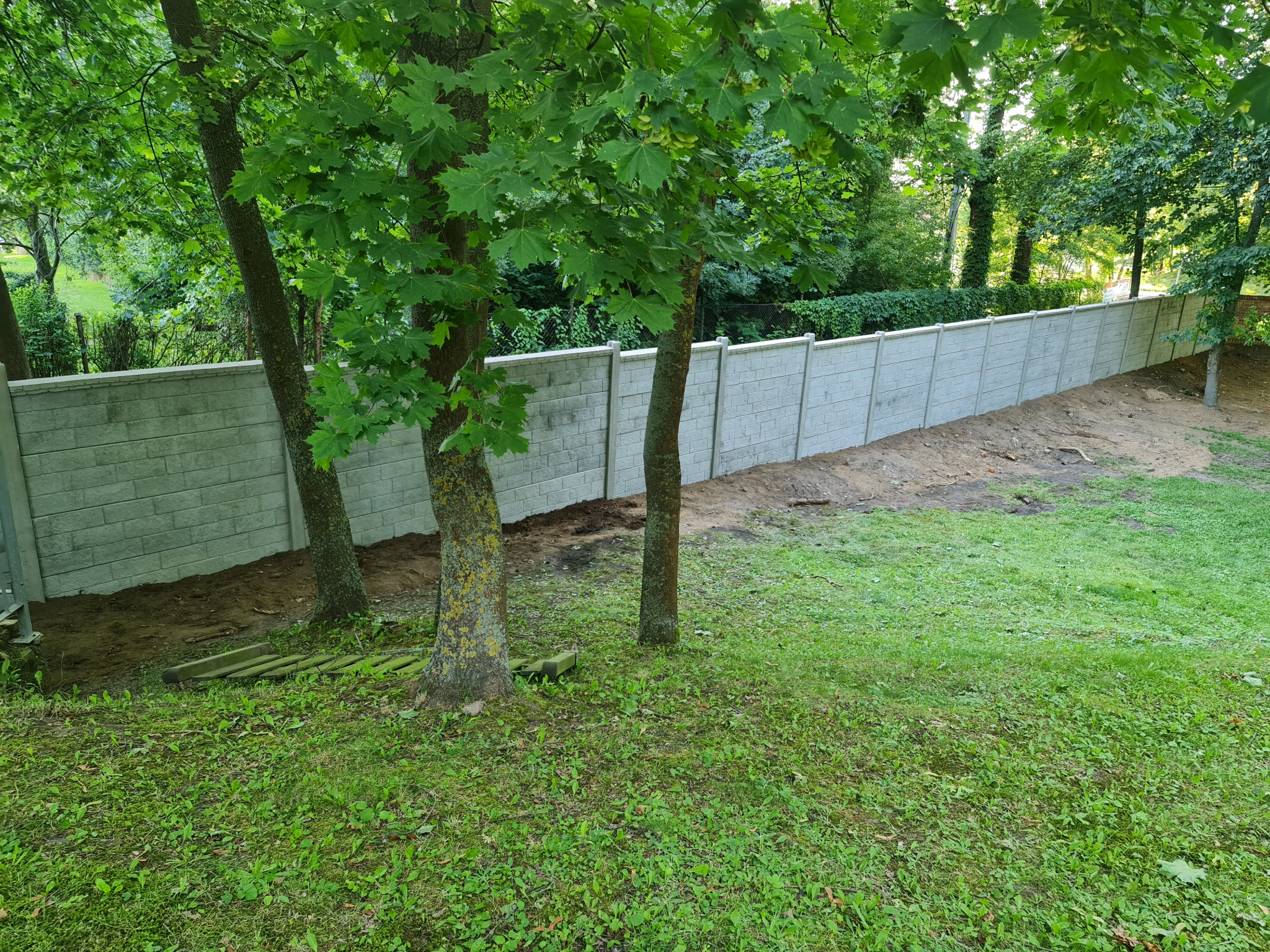 Długi, szary, panelowy płot z betonu, widoczny z perspektywy trawnika z drzewami, z lekkim nachyleniem terenu.