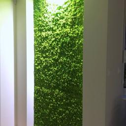 Nature's Design - Produkty Natury Claus Sternahl - Ściana pokryta mchem w nowoczesnym wnętrzu, oświetlona od góry, z widoczną ramą i fragmentem podłogi.