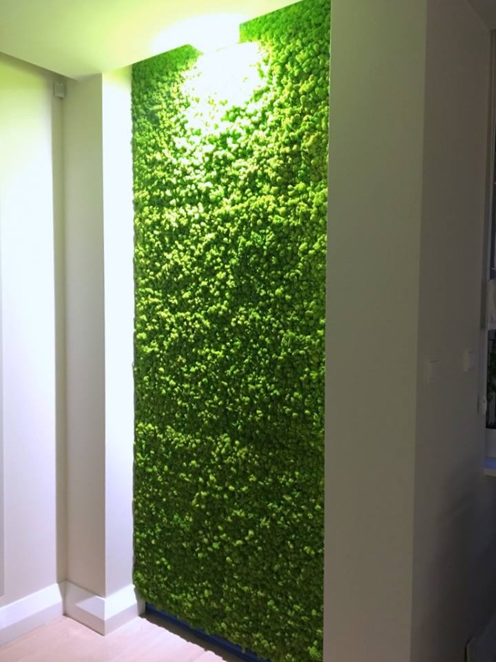 Ściana pokryta mchem w nowoczesnym wnętrzu, oświetlona od góry, z widoczną ramą i fragmentem podłogi.