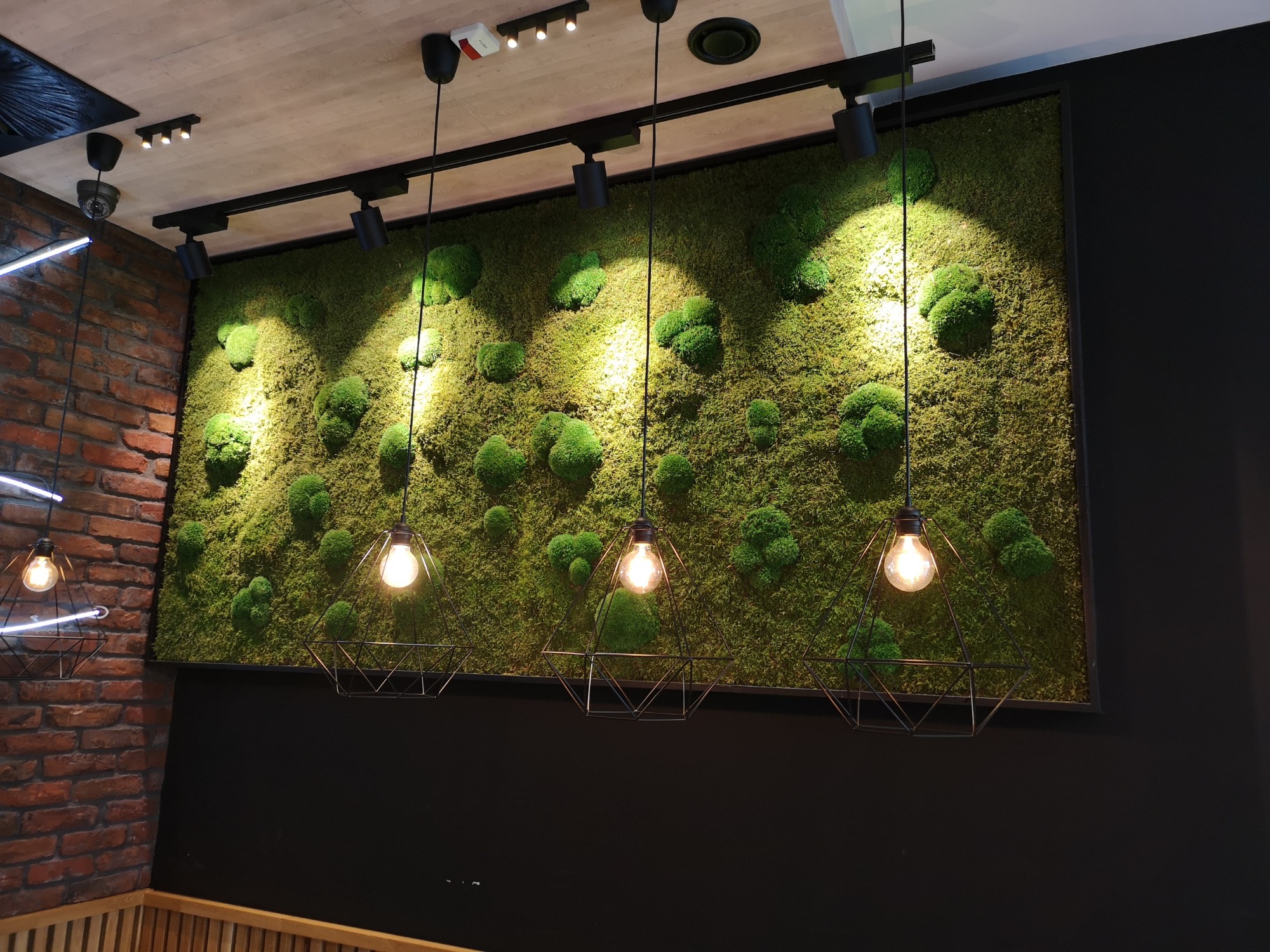 Panel z mchu w ramie, oświetlony trzema lampami wiszącymi z żarówkami Edisona, na tle czarnej ściany i fragmentu ściany z czerwonej cegły.