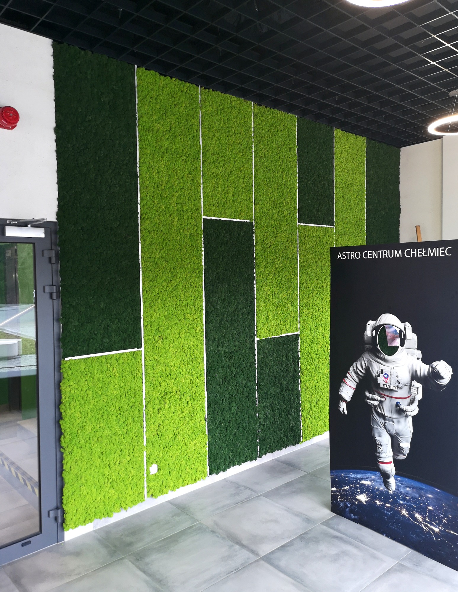Ściana z mchu w dwóch odcieniach zieleni, ułożona w geometryczny wzór, z plakatem astronauty w Astro Centrum Chełmiec.