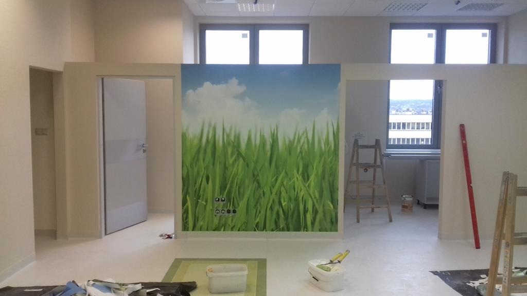 Montaż fototapety z motywem trawy i błękitnego nieba w jasnym, odświeżonym wnętrzu biurowym; widoczne drabiny i narzędzia malarskie.