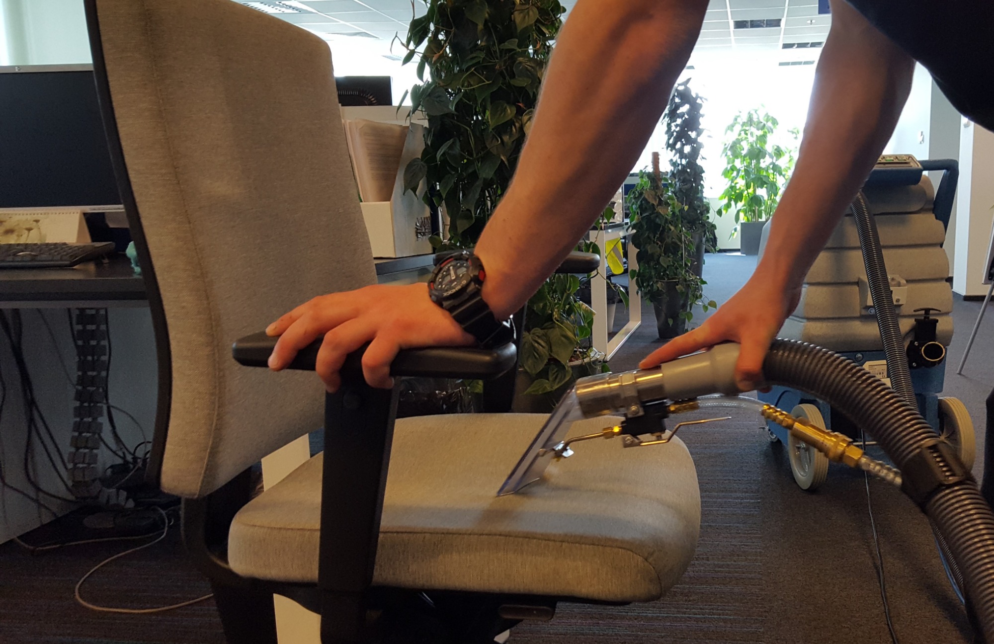 Czyszczenie tapicerki szarego krzesła biurowego za pomocą profesjonalnego ekstraktora; widoczny fragment ręki operatora z zegarkiem i rośliny doniczkowe w tle.