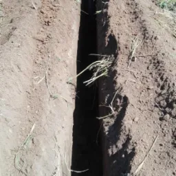 Wąski wykop w ziemi, widoczne ślady po narzędziu kopiącym, z niewielkimi kępkami trawy na krawędziach.