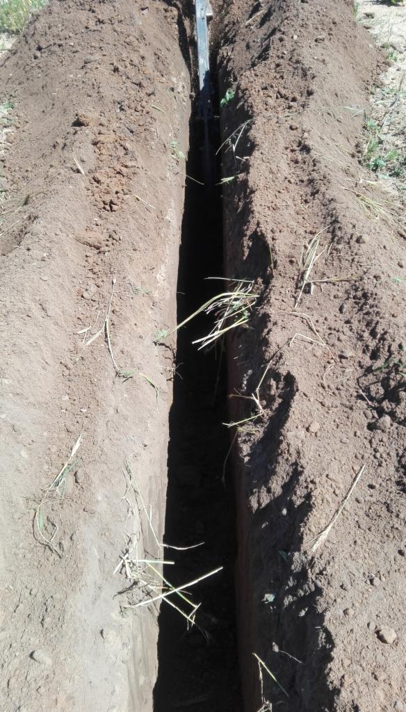 Wąski wykop w ziemi, widoczne ślady po narzędziu kopiącym, z niewielkimi kępkami trawy na krawędziach.