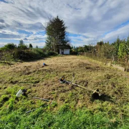 Teren po skoszeniu trawy z widoczną kosiarką spalinową, osłoną twarzy i przyciętymi gałęziami na tle małego domku, drzew i pochmurnego nieba.