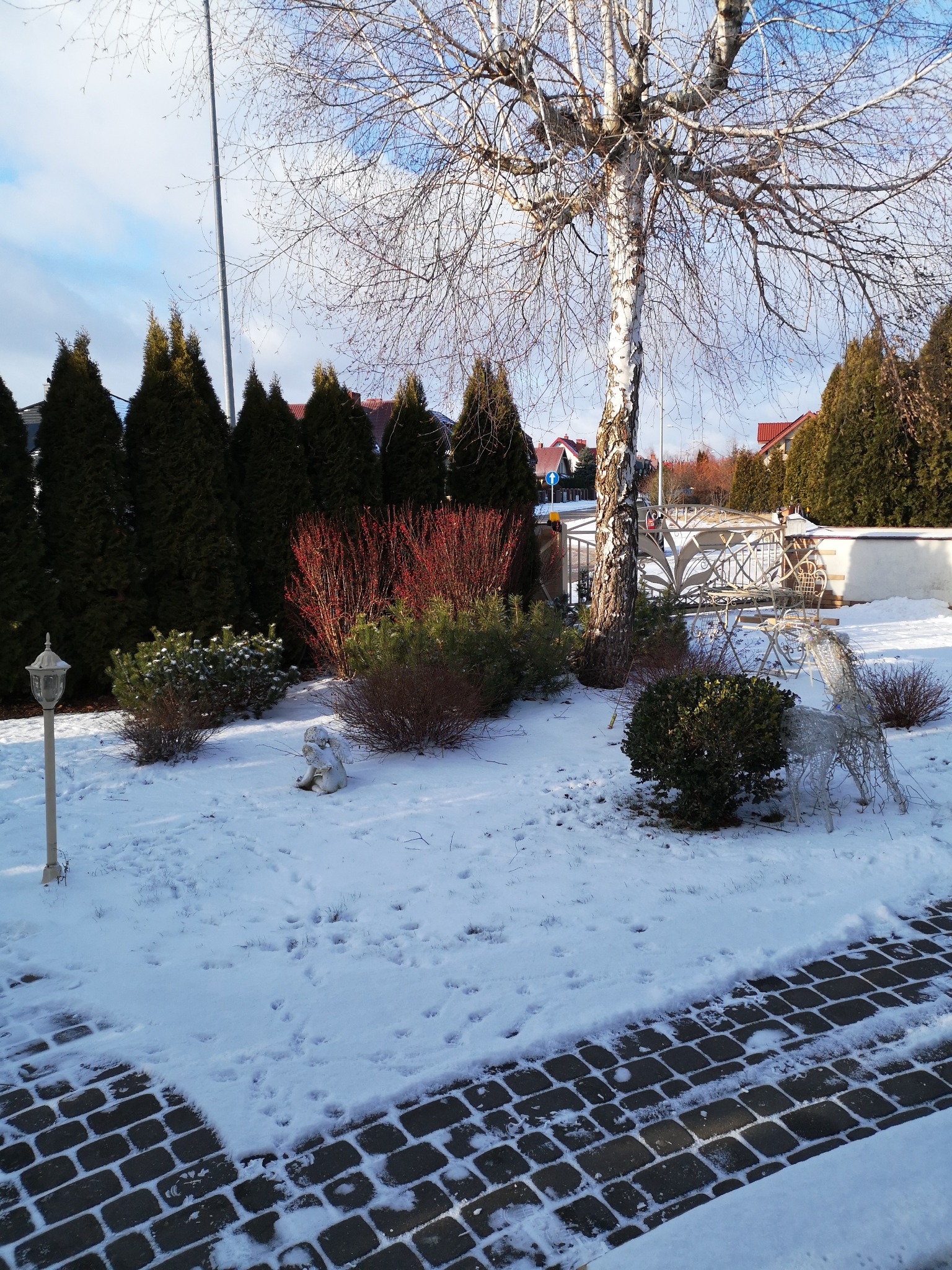 Zimowy ogród z ozdobami: brzoza, iglaki, czerwone krzewy, lampion, rzeźba anioła i metalowy renifer z saniami pod śniegiem.