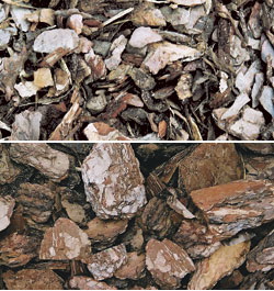 Dwa zbliżenia na korę drzewną o różnej frakcji i kolorystyce. Górna część zdjęcia przedstawia drobniejsze, jaśniejsze kawałki kory, dolna część większe, ciemniejsze fragmenty. Tekstura jest wyraźna...