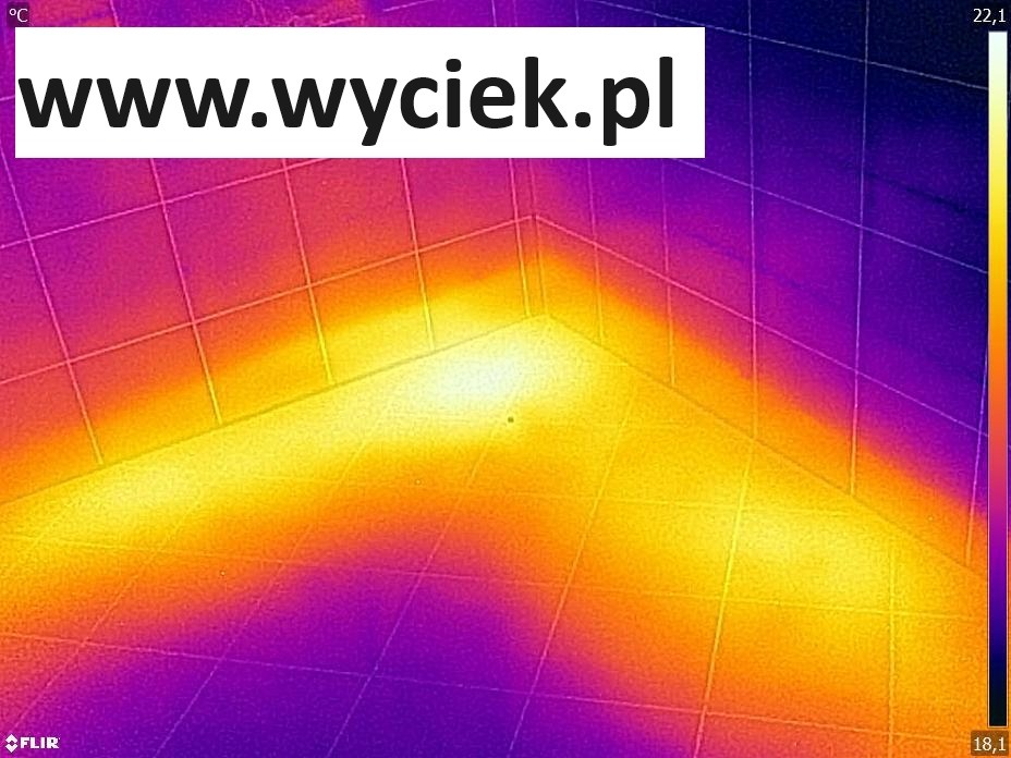 Termowizja sufitu z widocznym zawilgoceniem, prezentowana w spektrum kolorów od fioletu do żółci, z nałożonym adresem strony internetowej w górnej części.