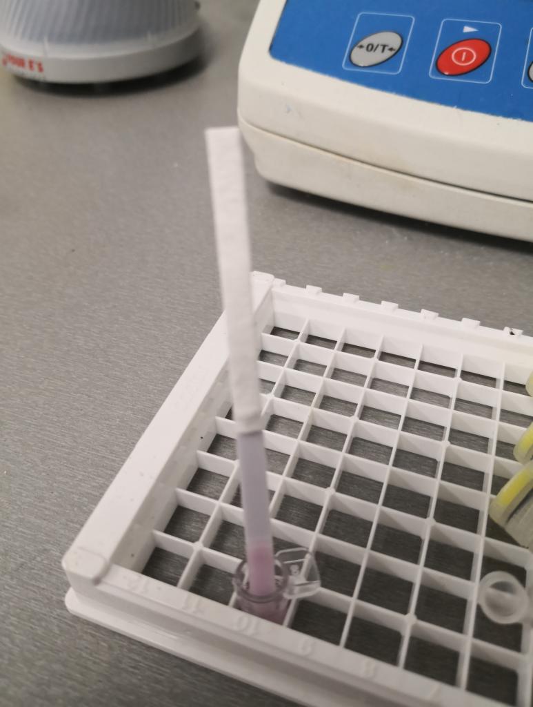 Test paskowy zanurzony w roztworze w probówce umieszczonej w białej kratce laboratoryjnej, obok widoczny fragment urządzenia pomiarowego.